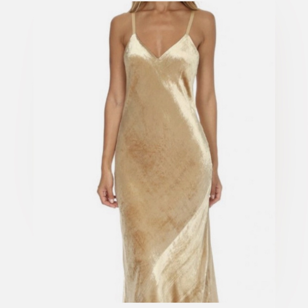 A.L.C. Champagne Velvet & Satin Dress